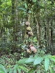 IMG_2282