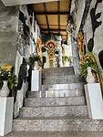 IMG_2281