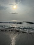 IMG_2388