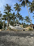 IMG_2386