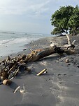 IMG_2387