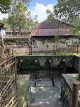 IMG_2397