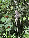 IMG_2423