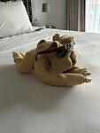 IMG_2484