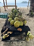 IMG_2501