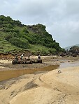 IMG_2517