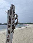 IMG_6724