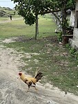 IMG_2526