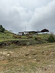 IMG_2524