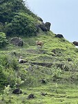 IMG_2519