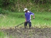 P1040340