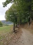 IMG_20190929_132224