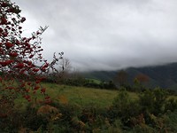 IMG_20190929_121013