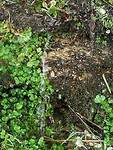 IMG_20190929_120045
