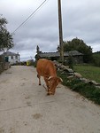 IMG_20190929_114707