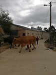 IMG_20190929_111637