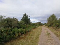 IMG_20190929_103305