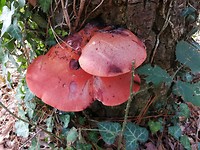 IMG_20191001_105212