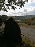 IMG_20191001_105131