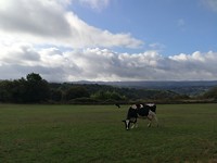 IMG_20191001_104351
