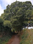 IMG_20191001_104135