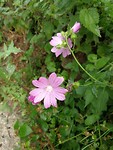 IMG_20191001_104029