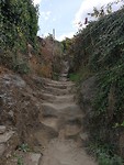 IMG_20191001_125830
