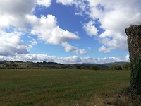 IMG_20191001_124336