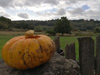 IMG_20191001_110335