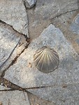 IMG_20191005_114407