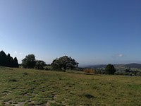 IMG_20191005_111631
