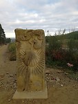 IMG_20191005_092509