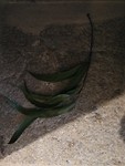 IMG_20191005_150245