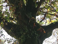 IMG_20191006_184912