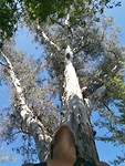 IMG_20191006_162039