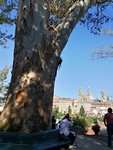 IMG_20191006_161947
