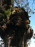 IMG_20191006_161730