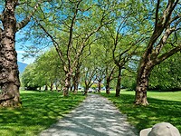 Stanley Park
