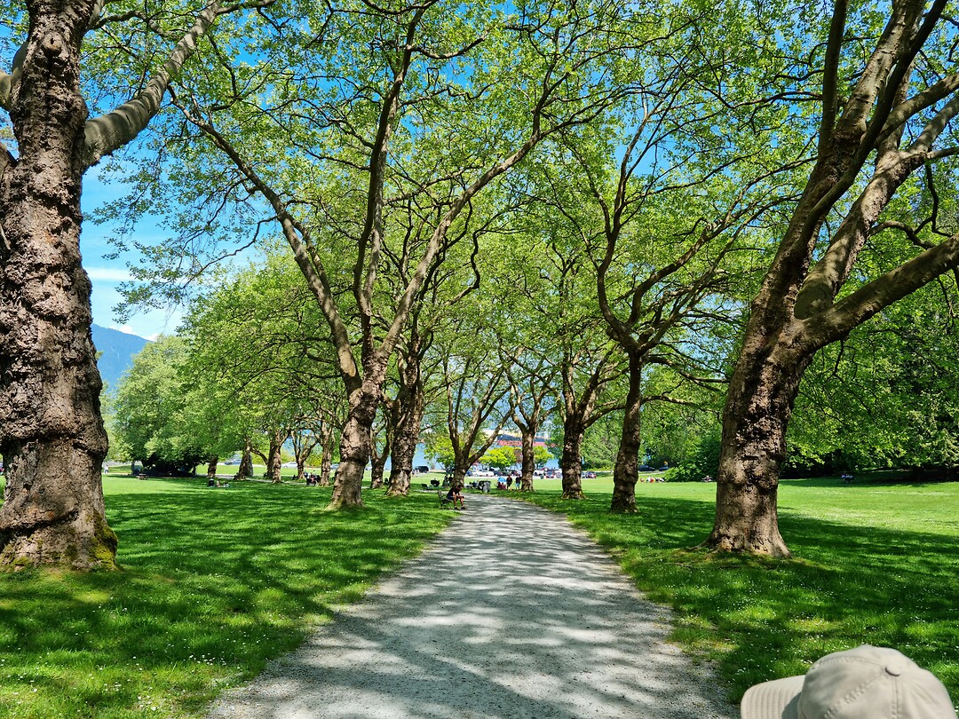 Stanley Park
