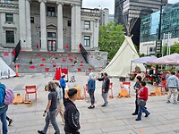 Manifestatie