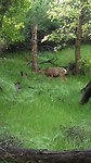 20190501_095348