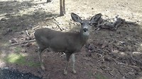 20190505_134809