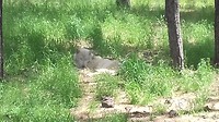 20190505_135651