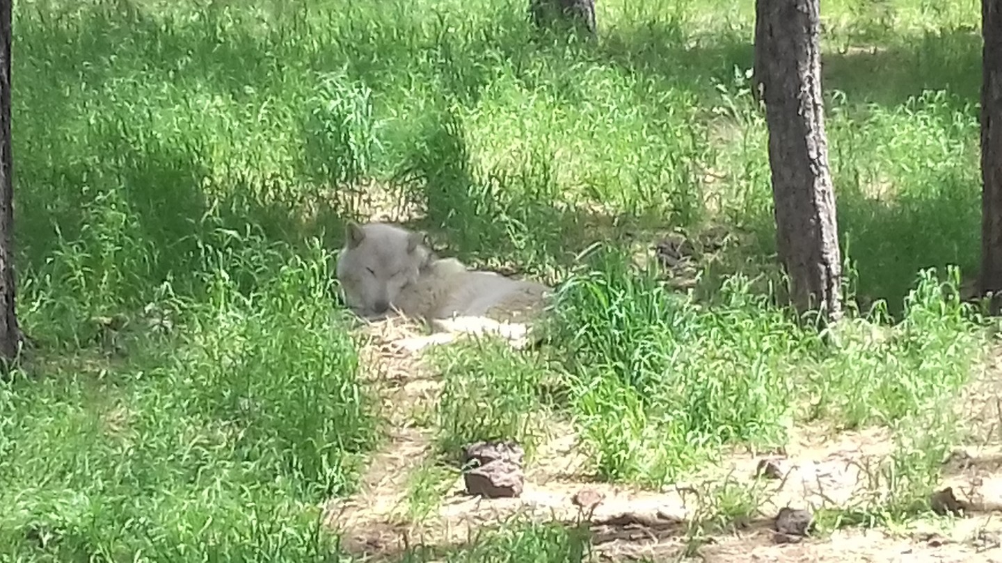 20190505_135651