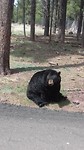 20190505_143516