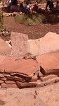 20190506_132629