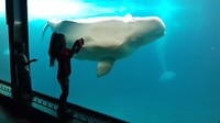 20190510_112017(0)