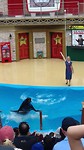 20190510_115949