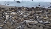 20190515_123322