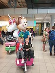 IMG-20190518-WA0013